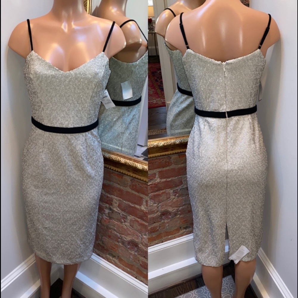 DRESS THE POPULATION | 🤩 silver sequin dress| M